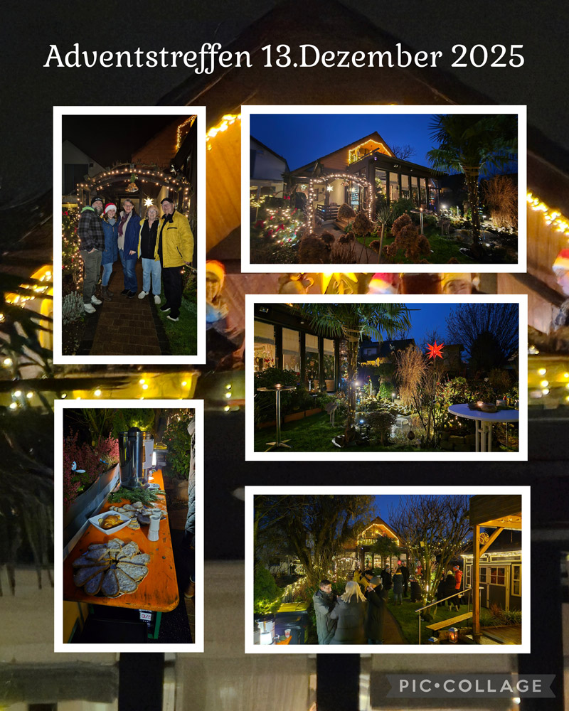 Fünf Personen lächeln im festlich beleuchteten Garten mit vielen Lichtern und Tannen